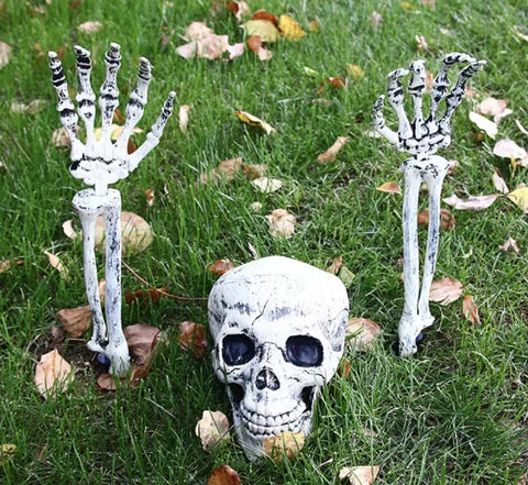 Halloween Decor: Skeleton Skull and Hands